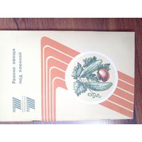 Ранние овощи под пленкой