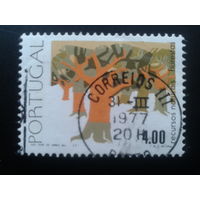 Португалия, 1977. Пробковое дерево