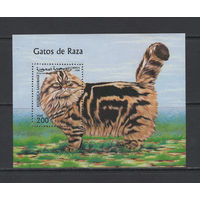 Сахара 1999** Фауна Домашние животные Кошки