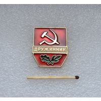 Дружинник "Победа".