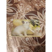 Календарик,кролик,2011