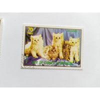 Эк.Гвинея 1972 коты