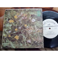 Виниловая пластинка. Миньон. София Ротару. 7"