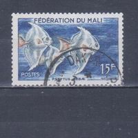[2330] Мали 1960. Фауна.Рыбы.15 ф. Гашеная марка.