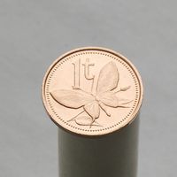 Папуа - Новая Гвинея 1 тойя 1987