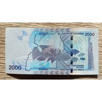 Werty71 Уганда 2000 шиллингов 2021 UNC банкнота Рыба