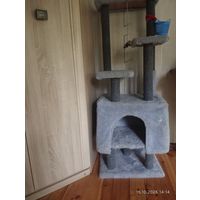 Когтеточка