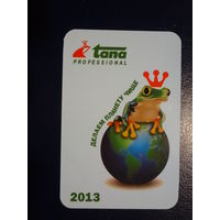 Календарик 2013 г.  Делаем планету чище.