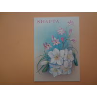 8 марта.  Цветы.  1987 г.