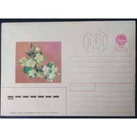 Беларусь 1992 дооценка Минск .