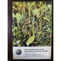 Календарик Прибалтика Стагачка