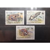 Болгария. 1989 год. Фауна. Летучие мыши (556)