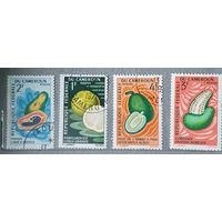 Камерун фрукты 4шт