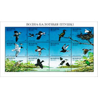 1996 БЕЛАРУСЬ  малый лист коллекционных марок Водно-болотн. птицы   MNH