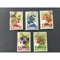 1964 СССР. Ягоды. Полная серия