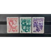 РАСПРОДАЖА БОЛГАРИЯ 1956г. Гаш.