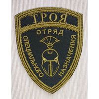 Шеврон 103-25, ДНР