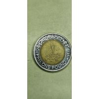 Египет 1 фут