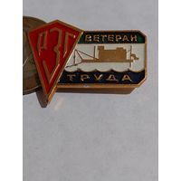 Значок " Ветеран труда РГЗ "