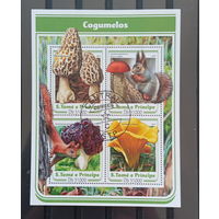 ЛИСТ ФЛОРА ЦВЕТЫ ГРИБЫ  СТО