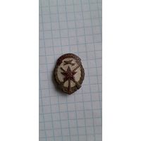 Значек ДОСАФ, ранний