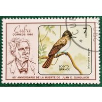 Куба 1986. Фауна. Чубатая шпорцевая мухоловка