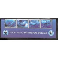 ФФ2 Гибралтар 2006 Скаты