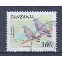 [1534] Танзания 1991. Фауна.Птицы.Голуби. Гашеная марка.
