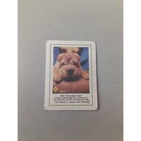 Спичечные этикетки АО Солнце