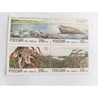 Россия  1995  кв/бл.