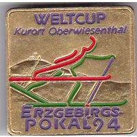 Кубок мира по лыжным выдам спорта (курорт Обервизенталь; Саксония, Германия).