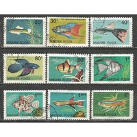 Венгрия. Тропические рыбы. 1962г. Mi#1820-29. Серия.