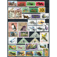 Фауна - 35 марок - гашёные. #4-W1-124-E-2