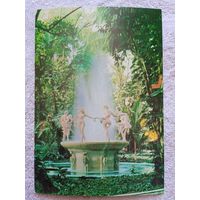 Куба. Тропикана, рай под звёздами