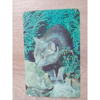 Календарик 1992