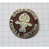 Олекминск. Города Якутии