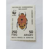 Мадагаскар 1988 жук