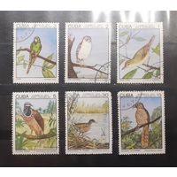 Куба. 1975 год. Фауна. Птицы (345)