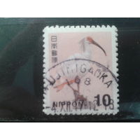 Япония, 2015. Хохлатый ибис