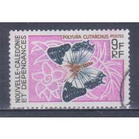 [2337] Новая Каледония 1967. Фауна.Бабочка. Гашеная марка.