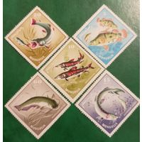 Монголия 1965. Фауна. Рыбы