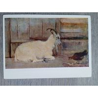 1958. Мешков. Козочка