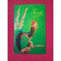 Поздравляю! Куприянов 1979 г. Чистая.