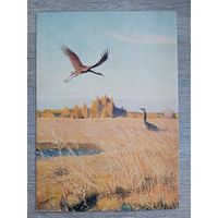 1954. Никольский. Журавли
