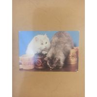 Календарь 1982 котята