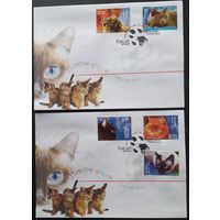 Беларусь 2004  КПД кошки .