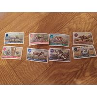 Малуку  Селатан серия марок 1953 г. Фауна.