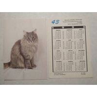 Карманный календарик. Котик.1993 год
