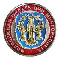 Молодежная палата при Мингорисполкоме. Фрачник