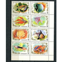 Аджман - 1972 - Рыбы - сцепка - [Mi. 1312-1319] - полная серия - 8 марок. MNH.  (Лот 73HR)-TG3P7